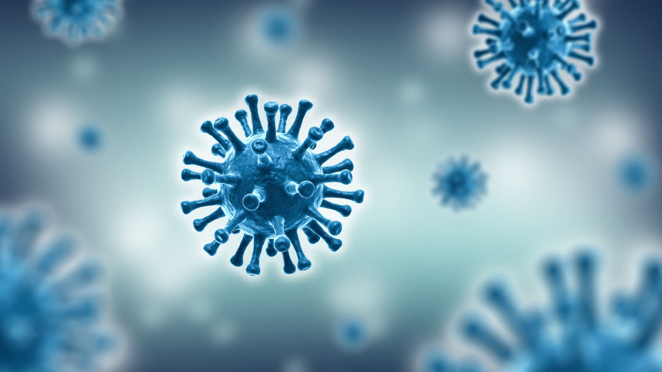 Water can kill Virus